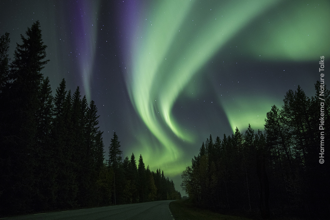 Noorderlicht foto gemaakt door landschapsfotograaf Harmen Piekema Nature Talks Fotofestival