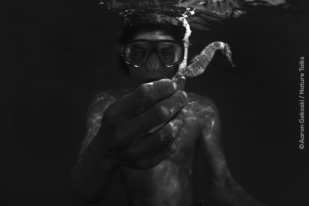 Bajau man catch seahorse, Borneo Aaron Gekoski
