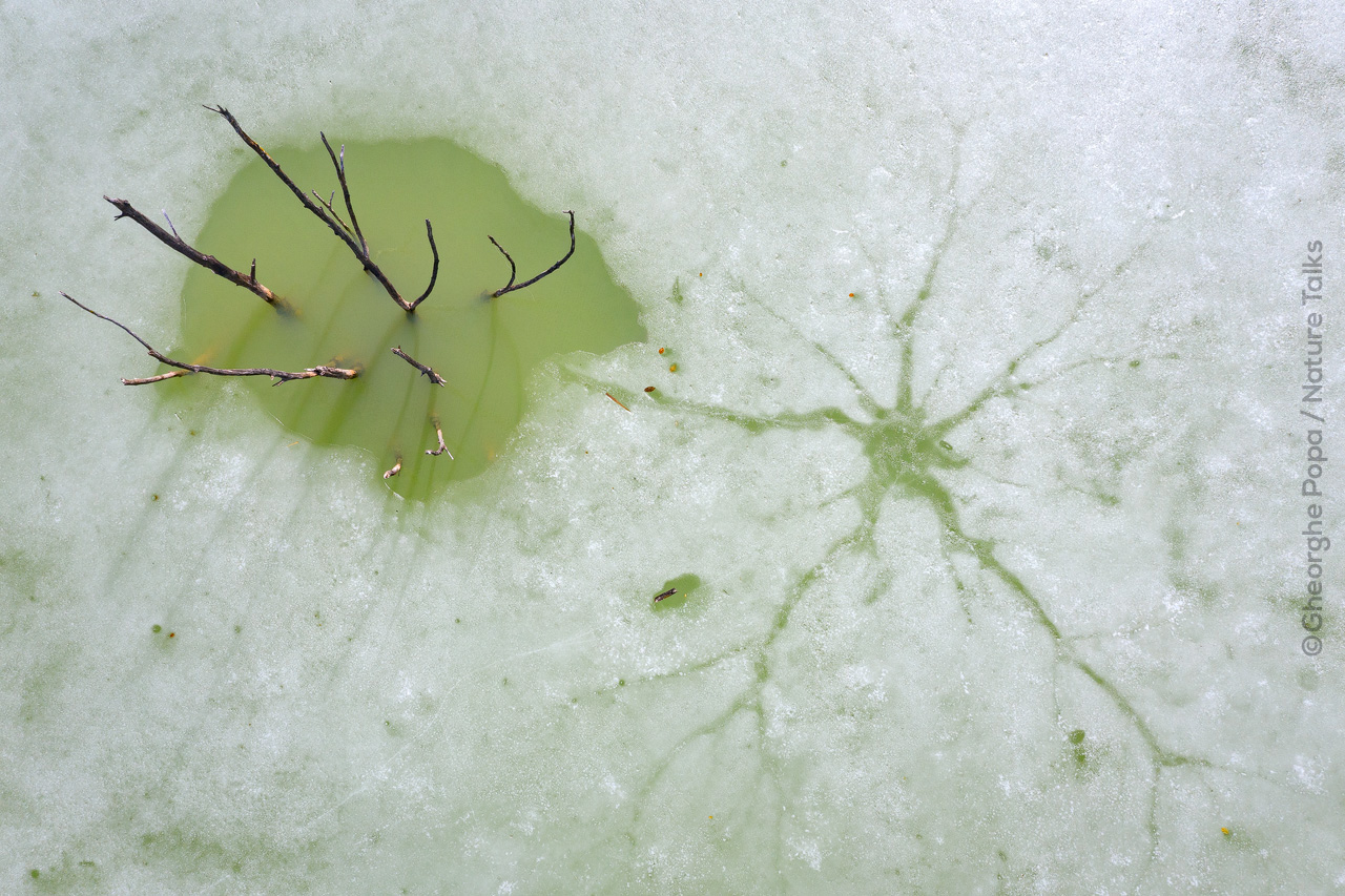 Cuejdel meer foto gemaakt door fotograaf Gheorghe Poppa Nature Talks Fotofestival