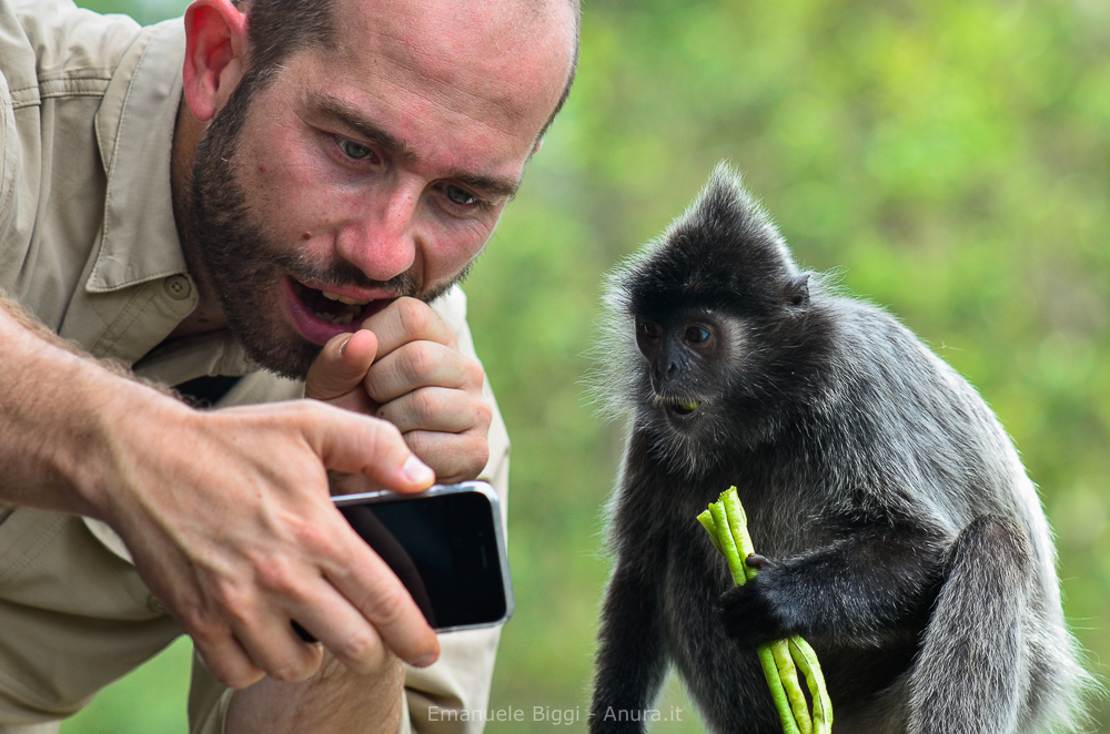 Emanuele Biggi Nature Talks Photo Festival 2020