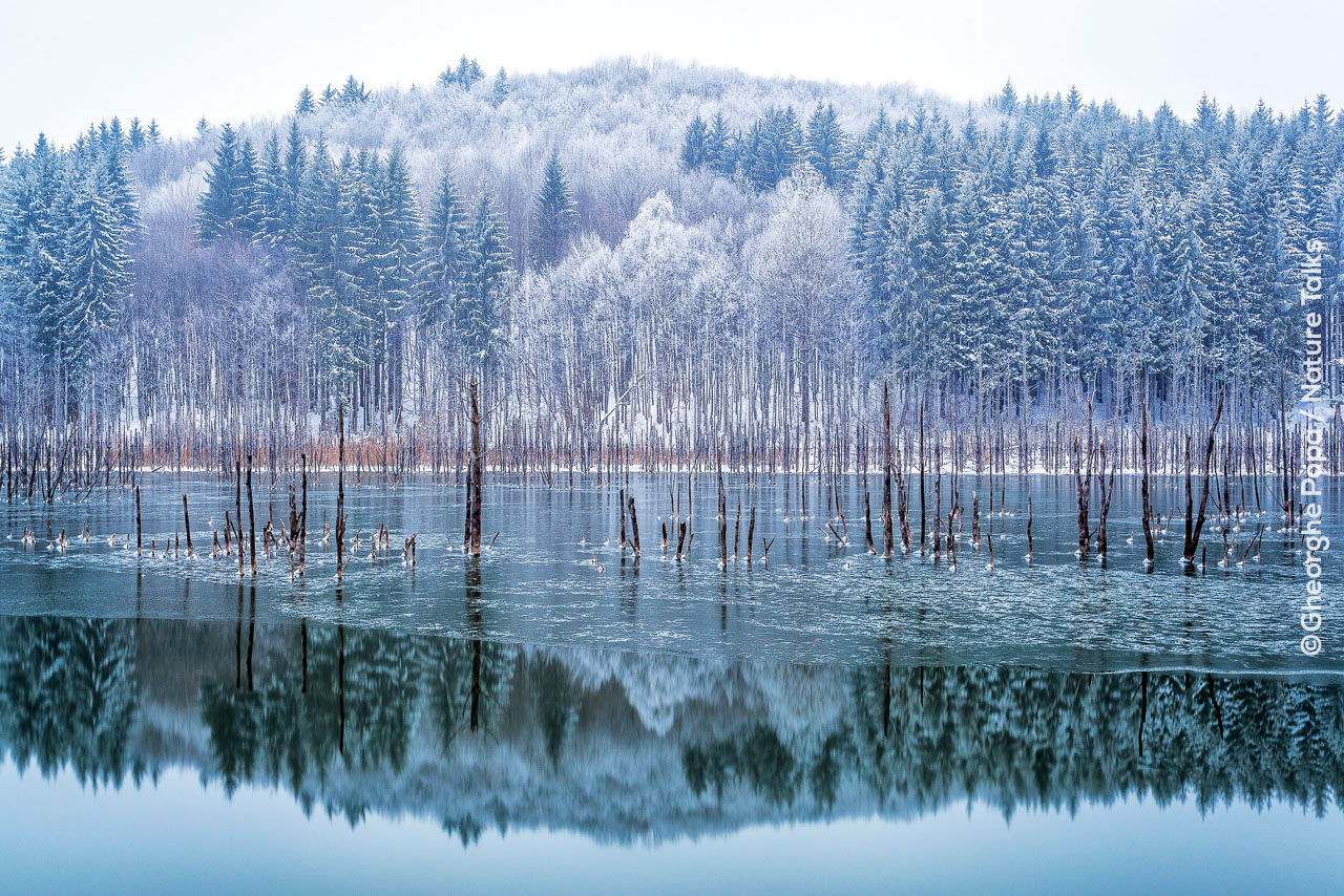 Cuejdel meer foto gemaakt door fotograaf Gheorghe Poppa Nature Talks Fotofestival