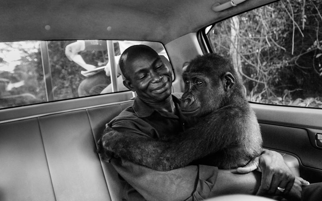 Jo-Anne McArthur Cameroon Nature Talks Photo Festival