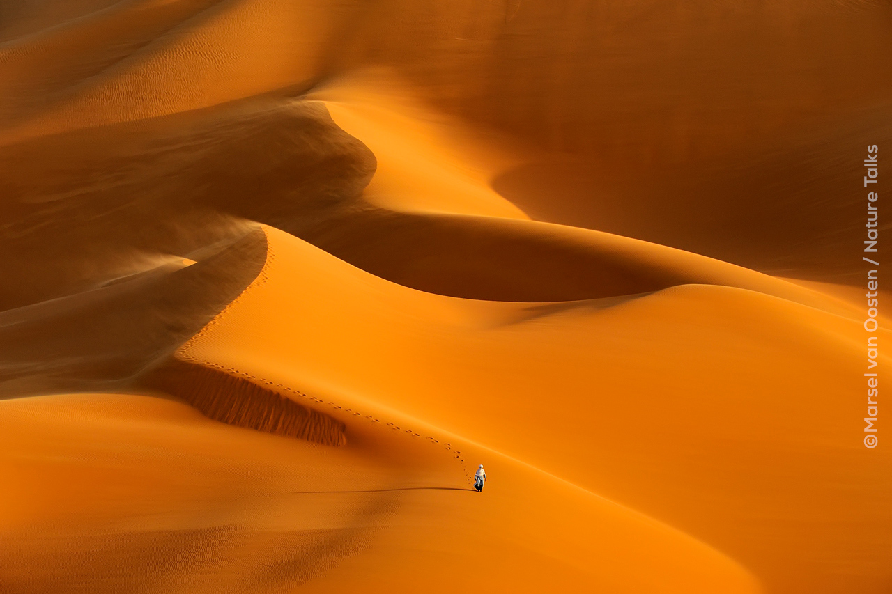 Foto van woestijn gemaakt door fotograaf Marsel van Oosten bij Nature Talks Fotofestival