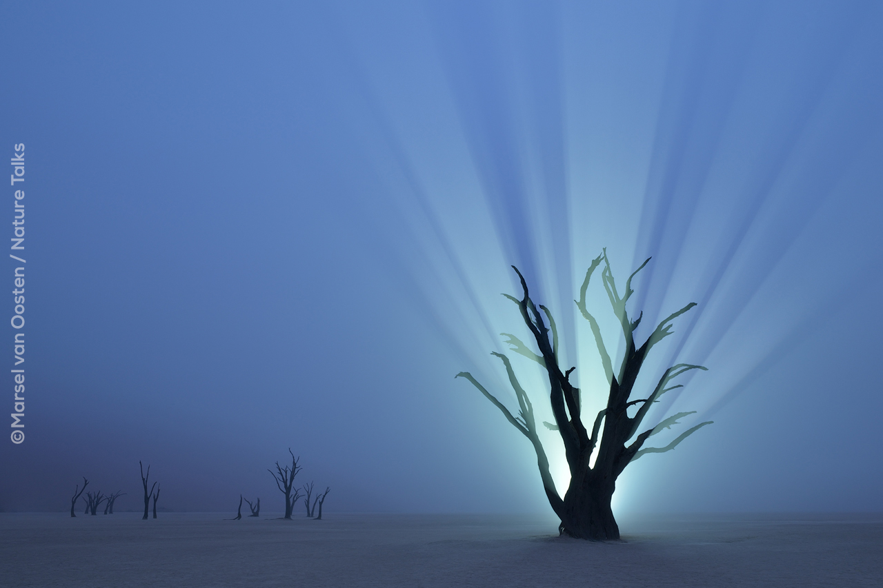 Wederopstanding gemaakt door fotograaf Marsel van Oosten bij Nature Talks Fotofestival