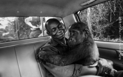 Dieren-fotojournalist Jo-Anne McArthur over de dieren die bij ons leven maar die we niet zien