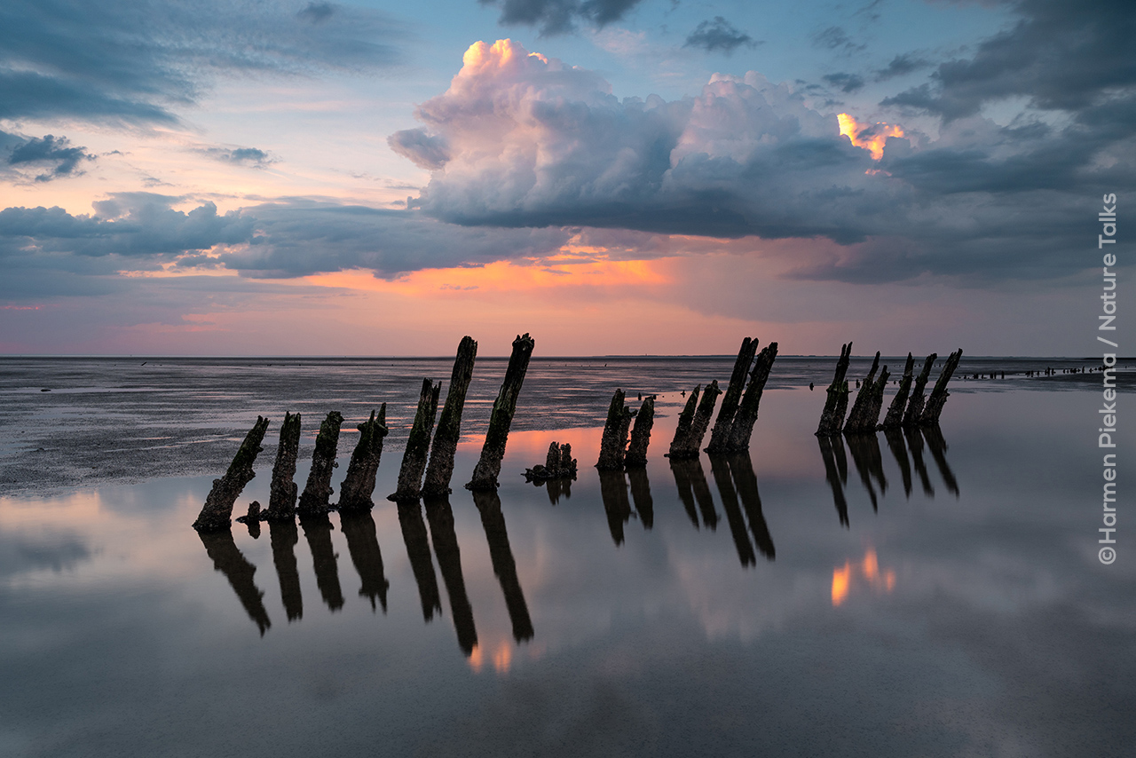 Foto van de Waddenzee gemaakt door landschapsfotograaf Harmen Piekema Nature Talks Fotofestival