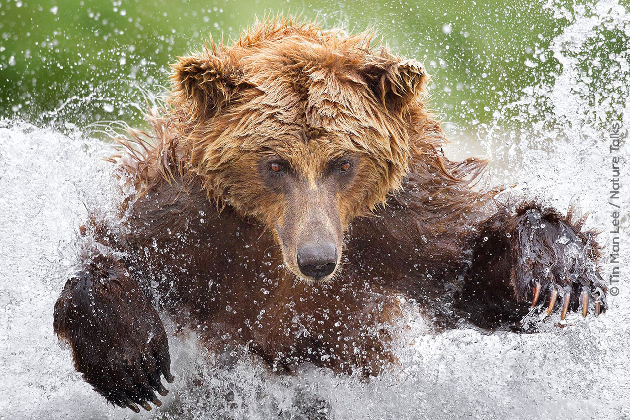 Ticketinformatie Nature Talks Natuurfotografie