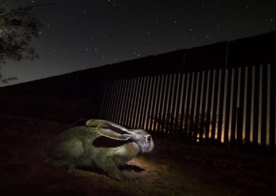 Alejandro Prieto (MX) | No Border Wall