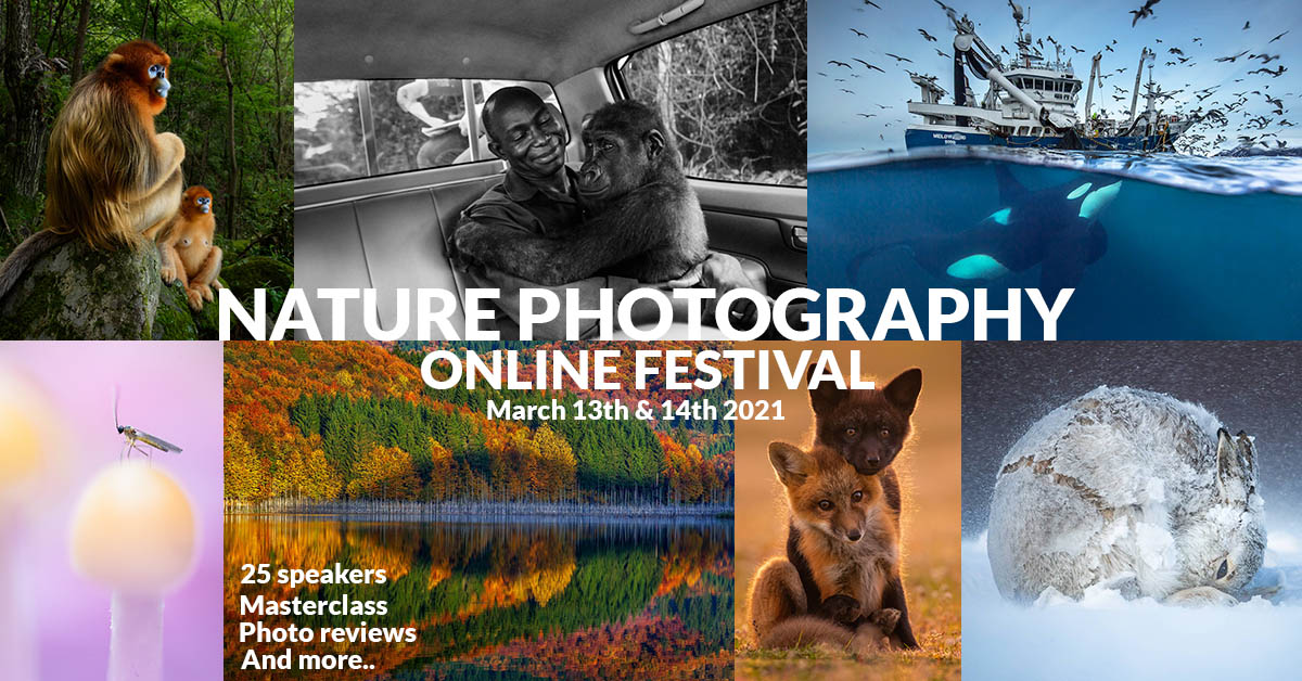 Nature Talks Online Photo Festival