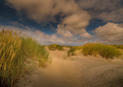 Foto van de duinen van Texel gemaakt door natuurfotograaf Andy Luberti