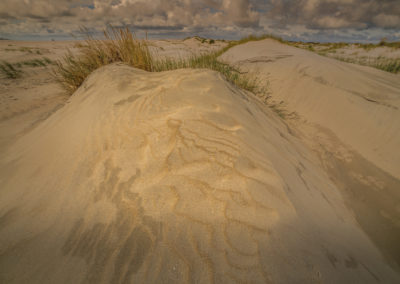 Foto van golvende duinen en grassen gemaakt door natuurfotograaf en landschapsfotograaf Andy Luberti
