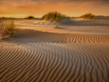 Fotoweekend Texel: Natuurfotografie Workshops 4-daagse