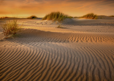 Mooi licht in de tuinen van Texel foto gemaakt door workshopbegeleider Andy Luberti