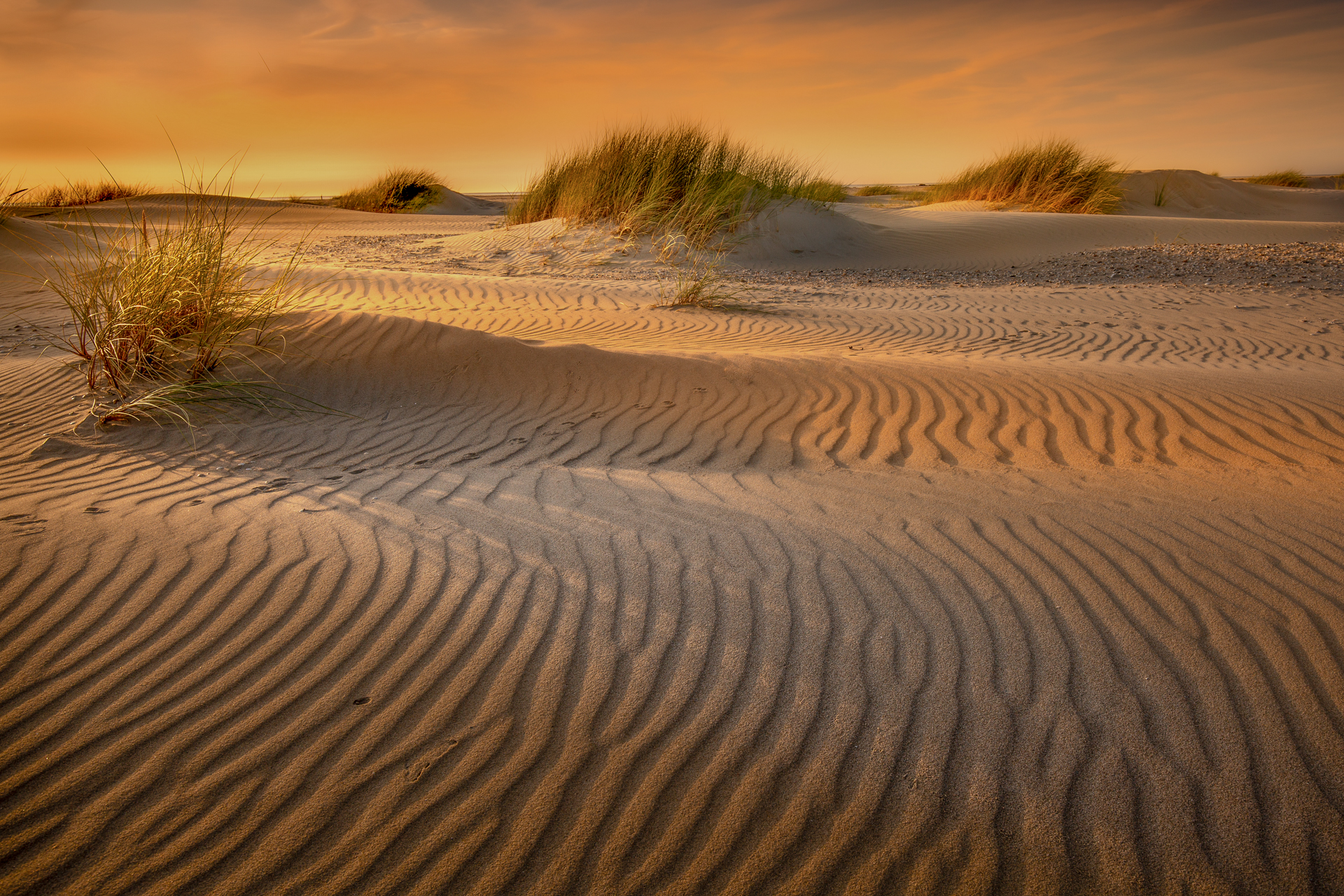 Zandpatronen op Texel gemaakt door landschapsfotograaf Andy Luberti