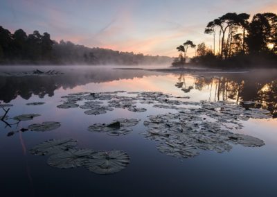 Ochtengloren aan de Oisterwijkse vennen