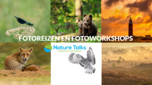 Nature Talks fotoreizen en fotoworkshops