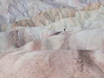 Fotocursus Art Based Learning: Geef jouw natuurfotografie een creatieve boost