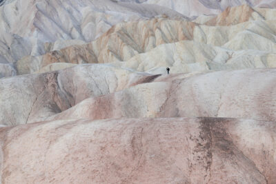 Fotocursus Art Based Learning: Geef jouw natuurfotografie een creatieve boost