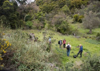 Nature-Talks-Fotoreis-Kreta-Landschap-deelnemers in het veld