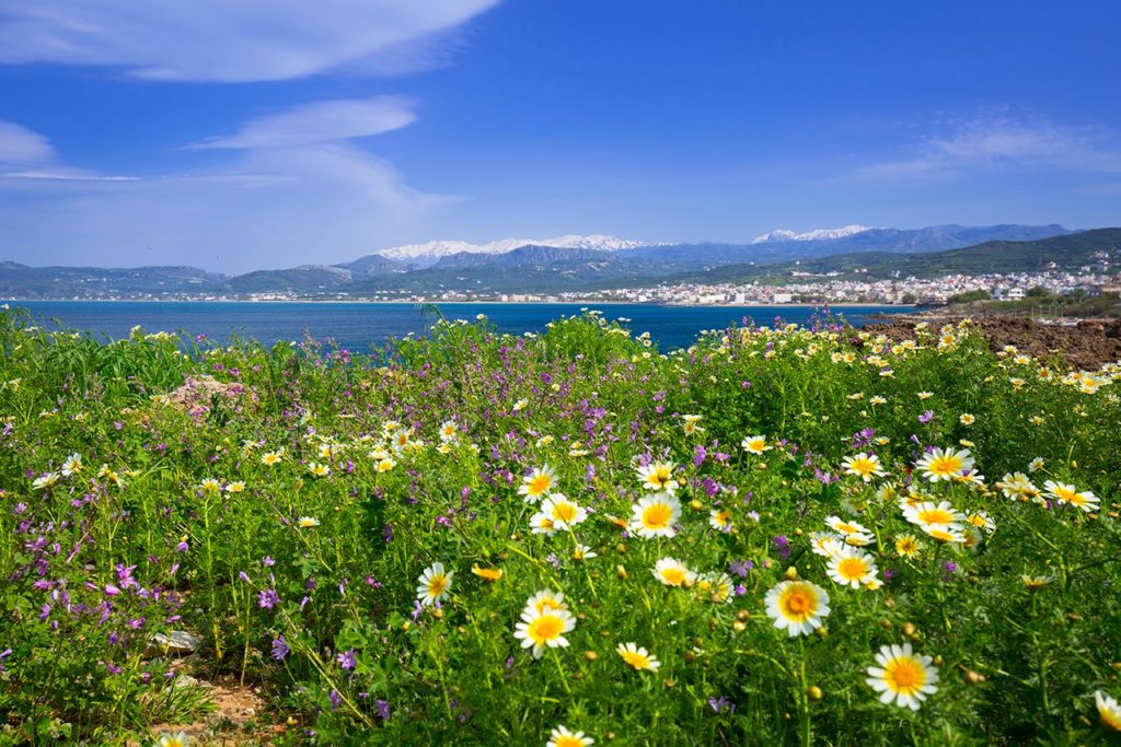 Fotoreis Griekenland Kreta utzicht op zee met bloemenveld