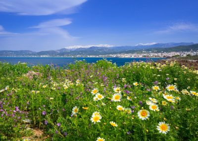 Fotoreis Griekenland Kreta utzicht op zee met bloemenveld
