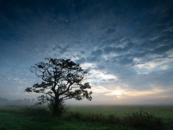 Fotoweekend IJsseldelta: Landschap-, macro-, vogel-, en wildlife fotografie langs de mooiste rivier van Nederland