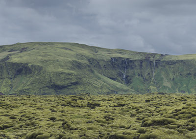 Fotoreis Ijsland Zomer pano IJsland mos