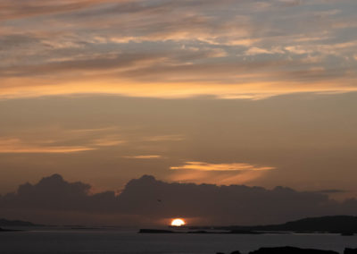 Fotoreis Isle of Mull Schotland Nature Talks