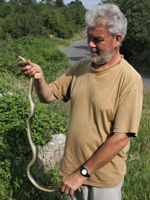 Ruud Wolterman Nature Talks Reptielen en Amfibieën Lesbos 1