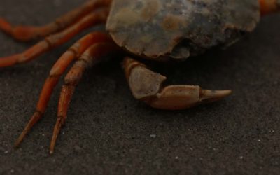 Reisverslag Fotoweekend Schiermonnikoog