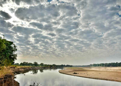 Luangwa river - Fotoreis Zambia - Dirk Jan Steehouwer