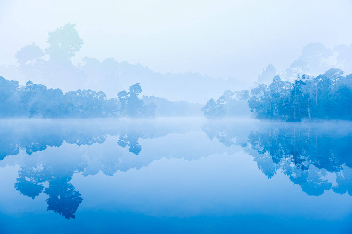 Blauwe natuur - Creatieve technieken en anders kijken