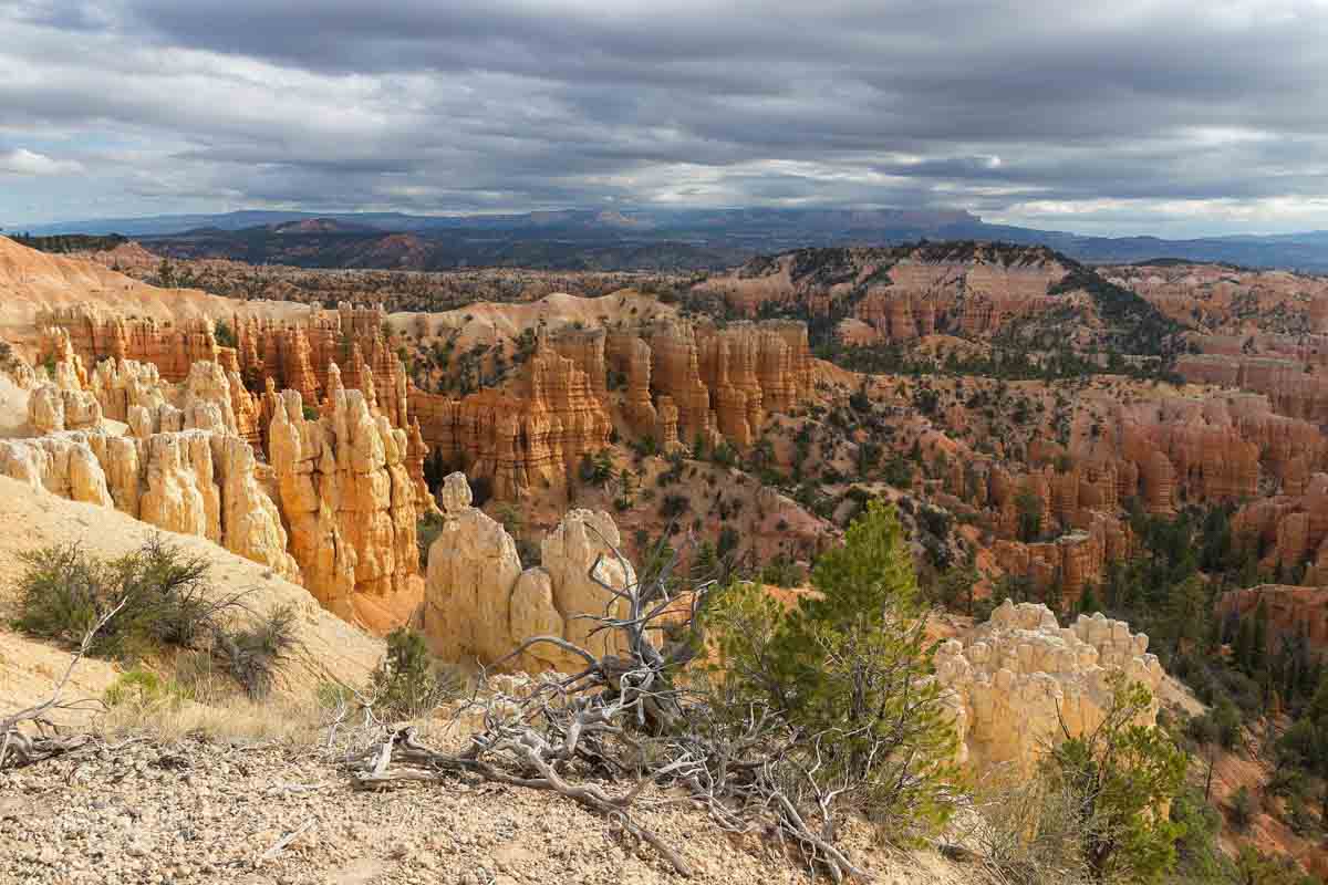 Brycecanyon - Fotoreis Amerika - Landschappen van Arizona & Utah