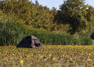 Drijfhut - Fotoreis Slovenië - watervogels fotograferen op de waterlijn