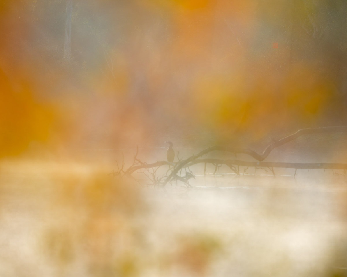 Herfst - Creatieve technieken en anders kijken