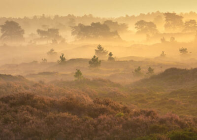 Heide - Fotoreis Drenthe - Herfst