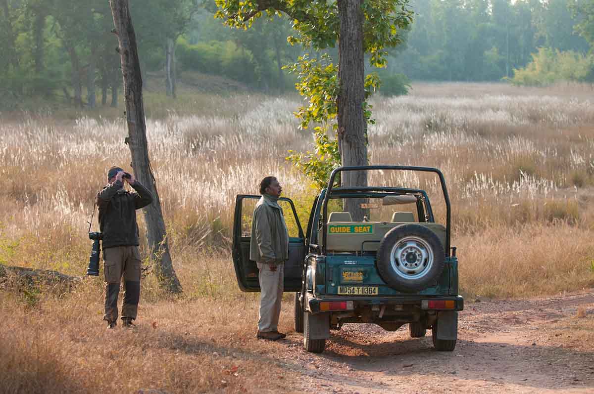 Safari auto - Fotoreis India - Vogels, Bengaalse tijgers en luipaarden