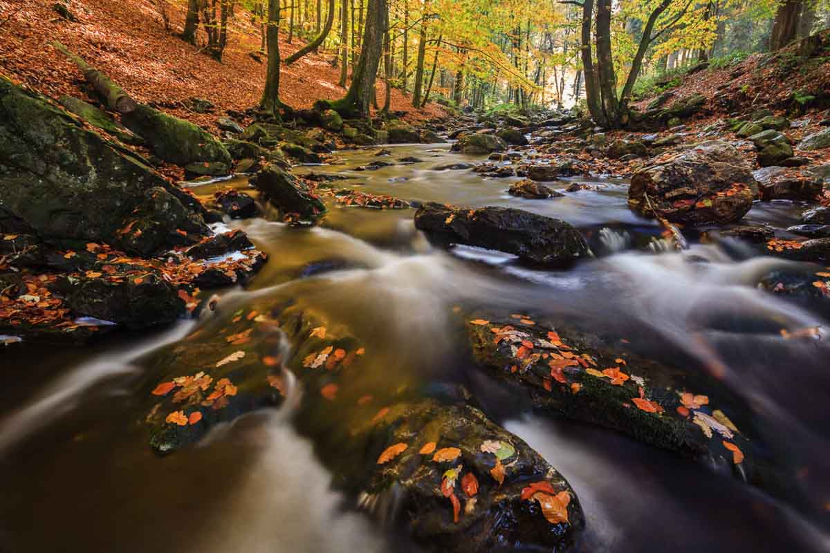 Stromend water - Fotoreis Hoge Venen - Herfst Landschappen