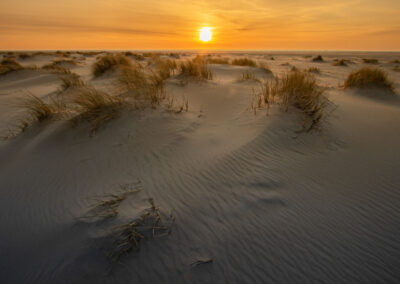 Zonsondergang - Fotoreis Schiermonnikoog - vogelfotografie op ons mooiste waddeneiland