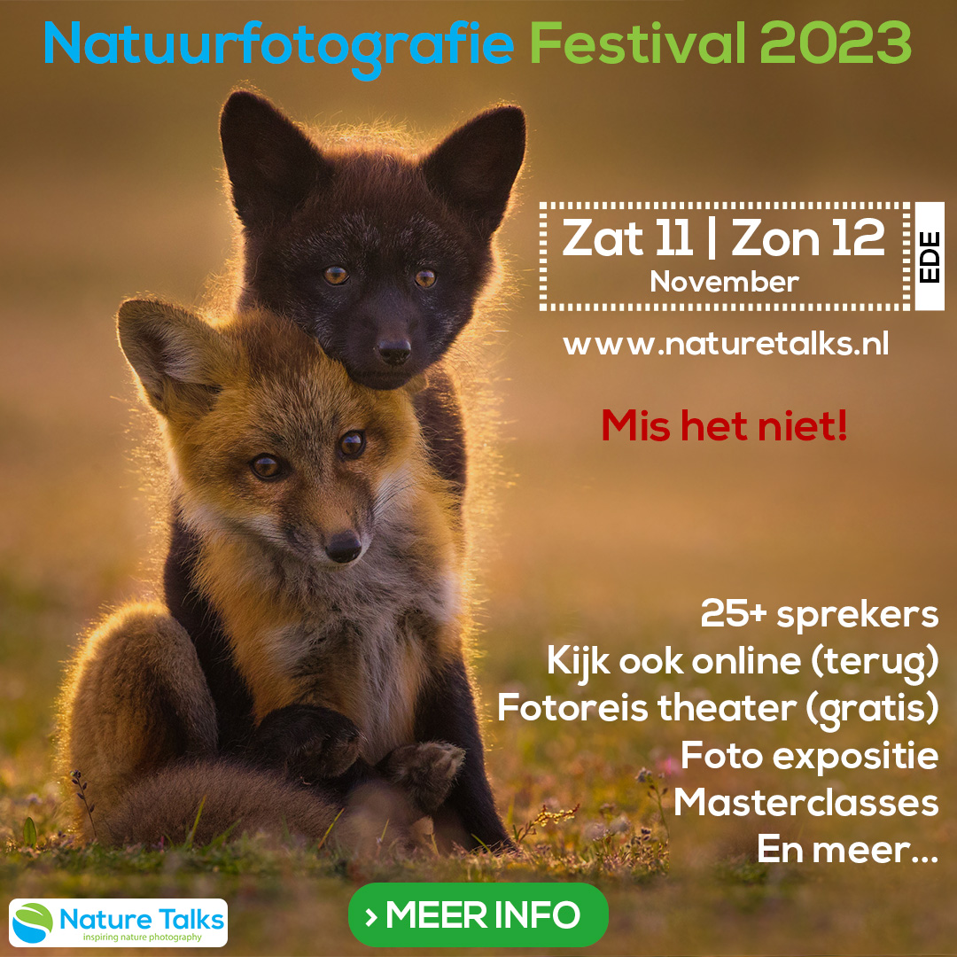 Nature Talks Photo Festival 2023 twee vosjes