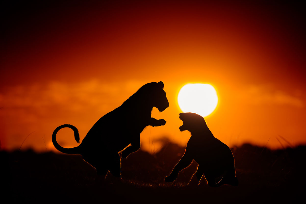 Foto van woestijn gemaakt door fotograaf Marsel van Oosten bij Nature Talks Fotofestival