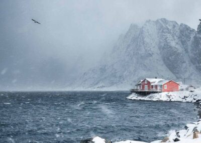 een huisje in een besneeuwd landschap - winter op lofoten - Nando Harmsen -