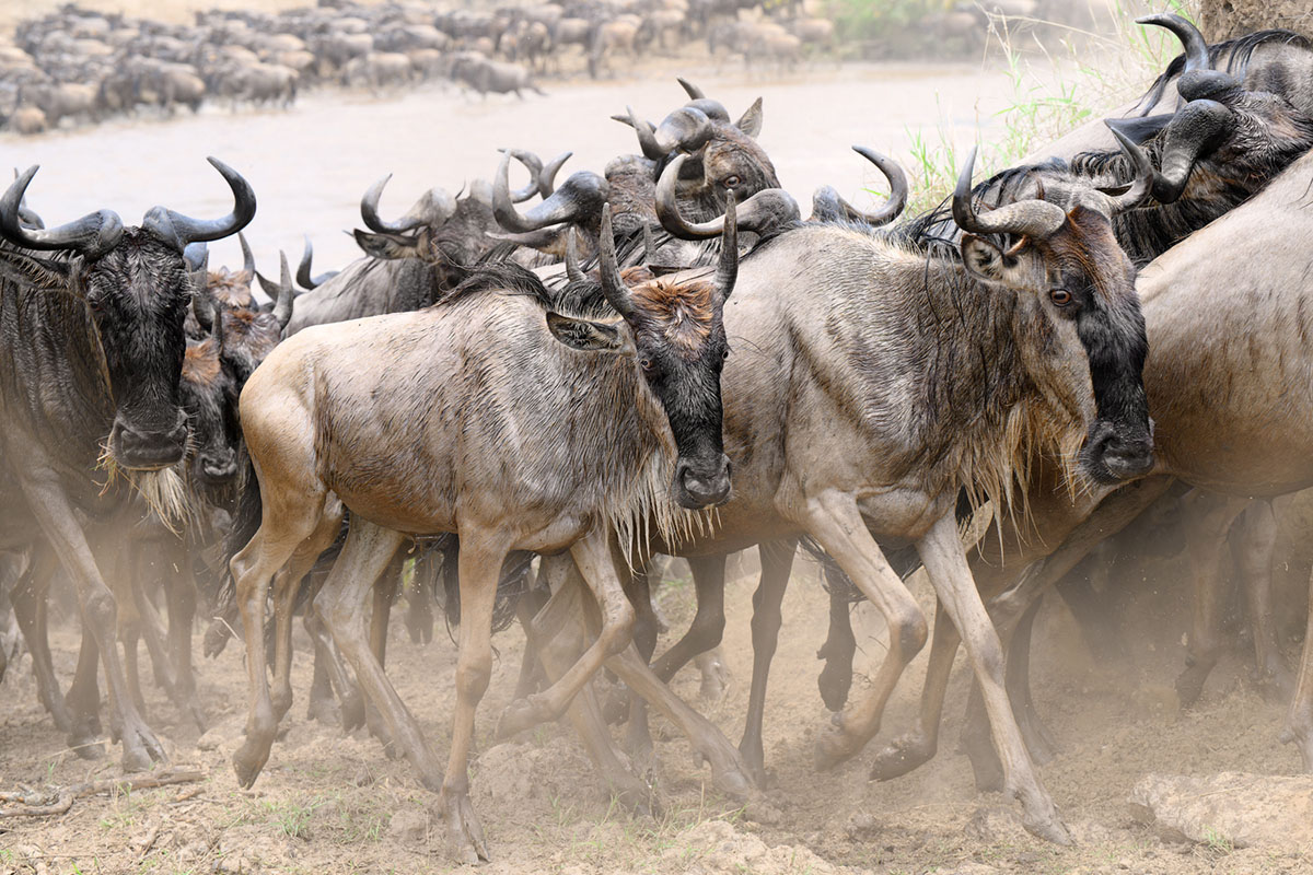 IJsgrot gemaakt door fotograaf Marsel van Oosten bij Nature Talks Fotofestival