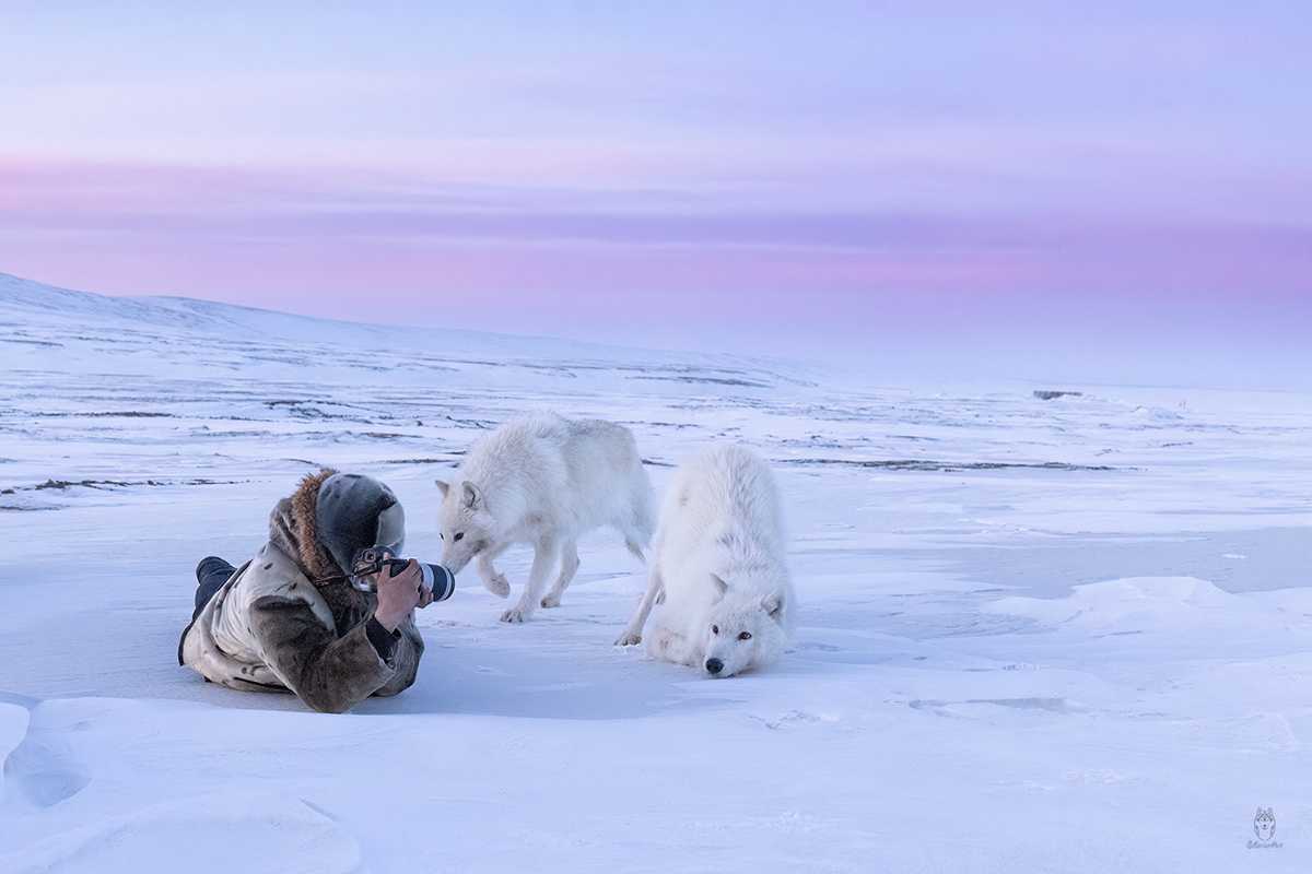 Amit Eshel-Nature-Talks-Photo-Festival-2025-Arctic_wolves5 Foto van boom in meer gemaakt door reisfotograaf Johan Lolos