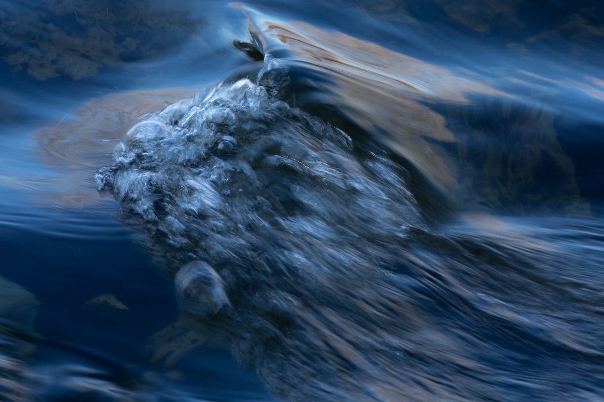 JDO_20180702_0621 Riverscape series
