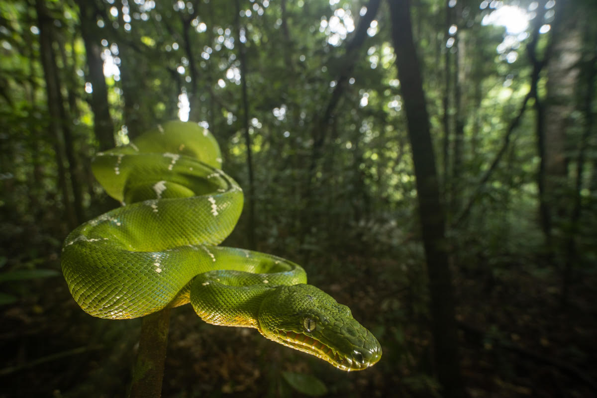 Foto van kano in groen water gemaakt door reisfotograaf Johan Lolos