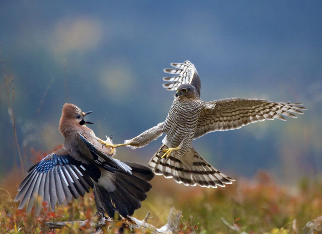 Foto van twee vissers gemaakt door reisfotograaf Johan Lolos