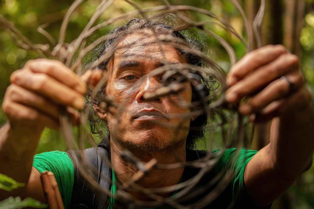 Foto van boom in meer gemaakt door reisfotograaf Johan Lolos