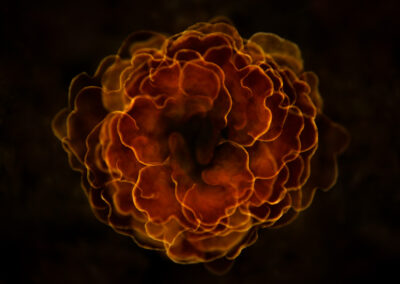 Macrofotografie van paddenstoelen met meervoudige belichting.