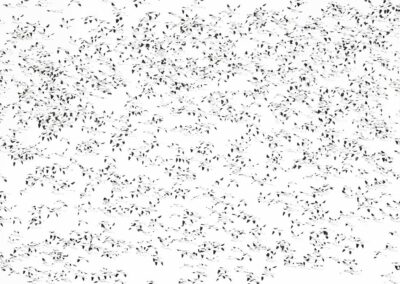 Abstracte highkey van een vlucht kluten door Mathijs Frenken.